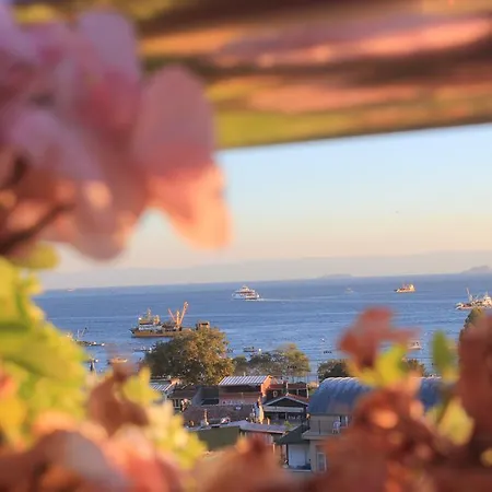 Sayeban Isztambul